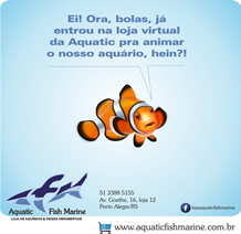 Aquatic Fish Marine foto 4