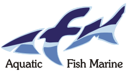 Aquatic Fish Marine foto 1
